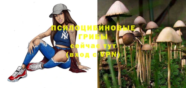 первитин Богородск