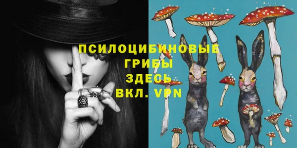первитин Богородск