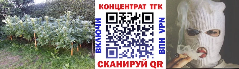 darknet наркотические препараты  Голицыно  Дистиллят ТГК гашишное масло  где можно купить наркотик 