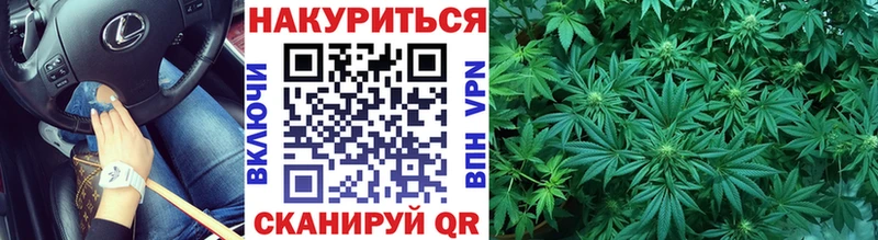 Бошки марихуана Amnesia  ссылка на мегу вход  Голицыно 
